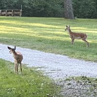 Img 4586