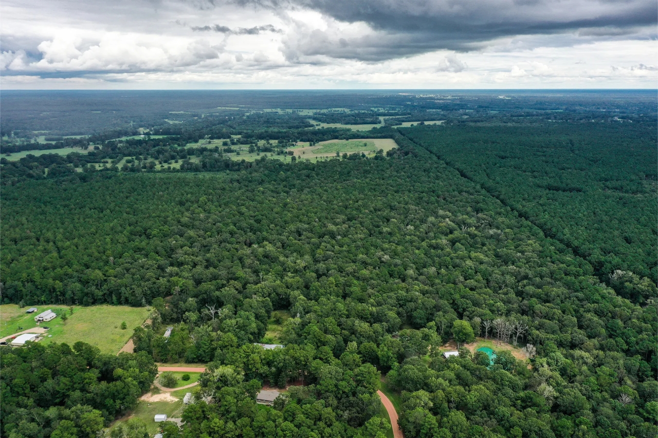 90.3 Acres Squirrel Tree Rd Hunting Land for Sale HuntingLocator