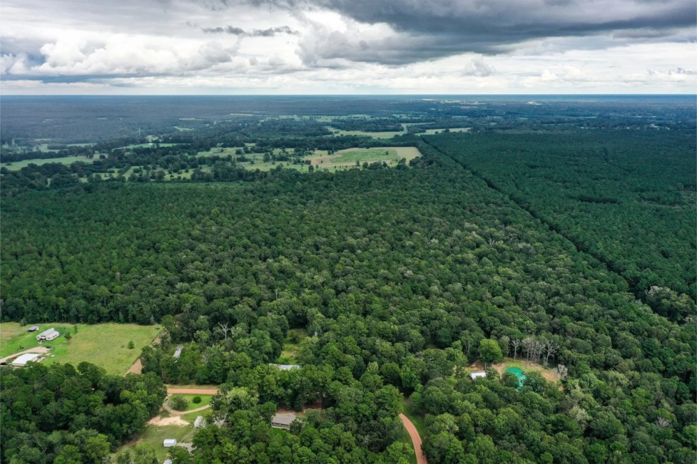 90.3 Acres Squirrel Tree Rd Hunting Land for Sale HuntingLocator