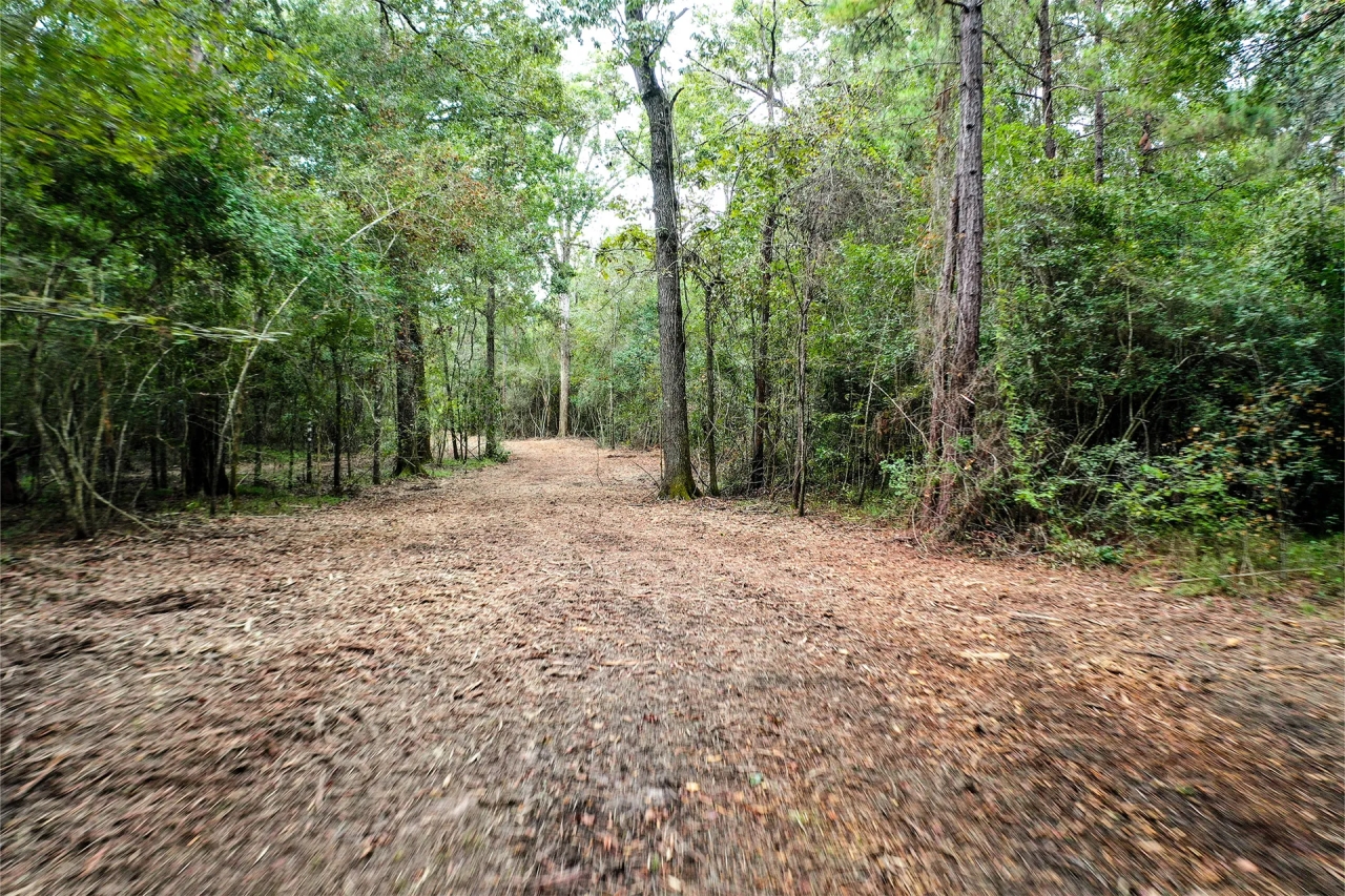 90.3 Acres Squirrel Tree Rd Hunting Land for Sale HuntingLocator
