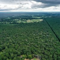 90.3 Acres Squirrel Tree Rd images 5