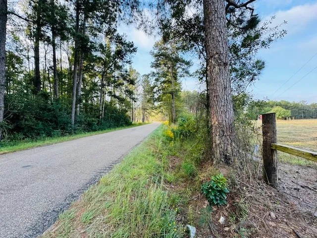19.42 Acres located on Lee Road in Franklinton LA featured image