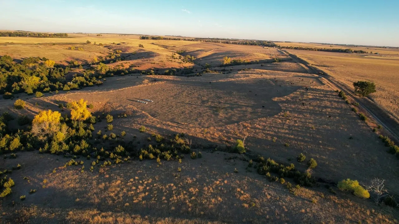 Lucas Trophy Buck Acreage Hunting Land for Sale