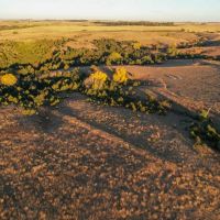 Lucas Trophy Buck Acreage images 2