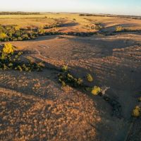Lucas Trophy Buck Acreage images 3