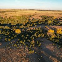 Lucas Trophy Buck Acreage images 4