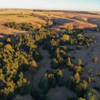 Lucas Trophy Buck Acreage images 5
