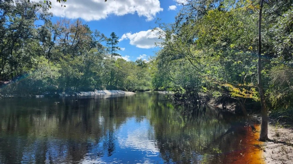 31 Acres on St. Marys River Hunting Land for Sale HuntingLocator