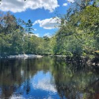 31 Acres on St. Marys River