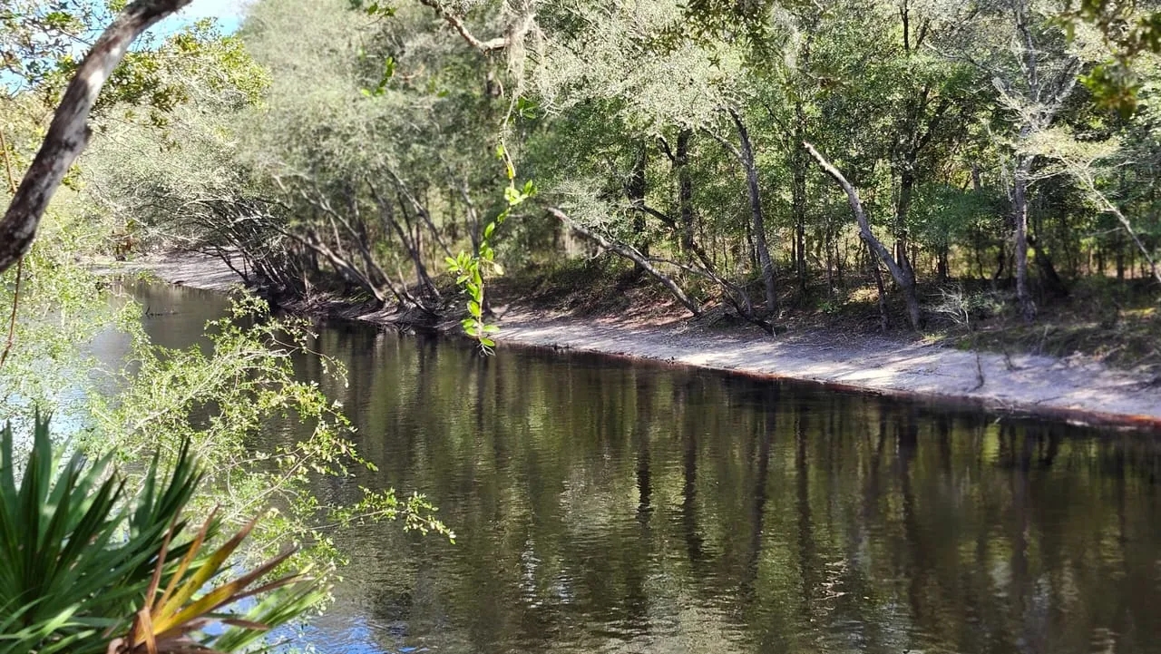 31 Acres on St. Marys River Hunting Land for Sale HuntingLocator