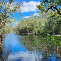 31 Acres on St. Marys River images 3
