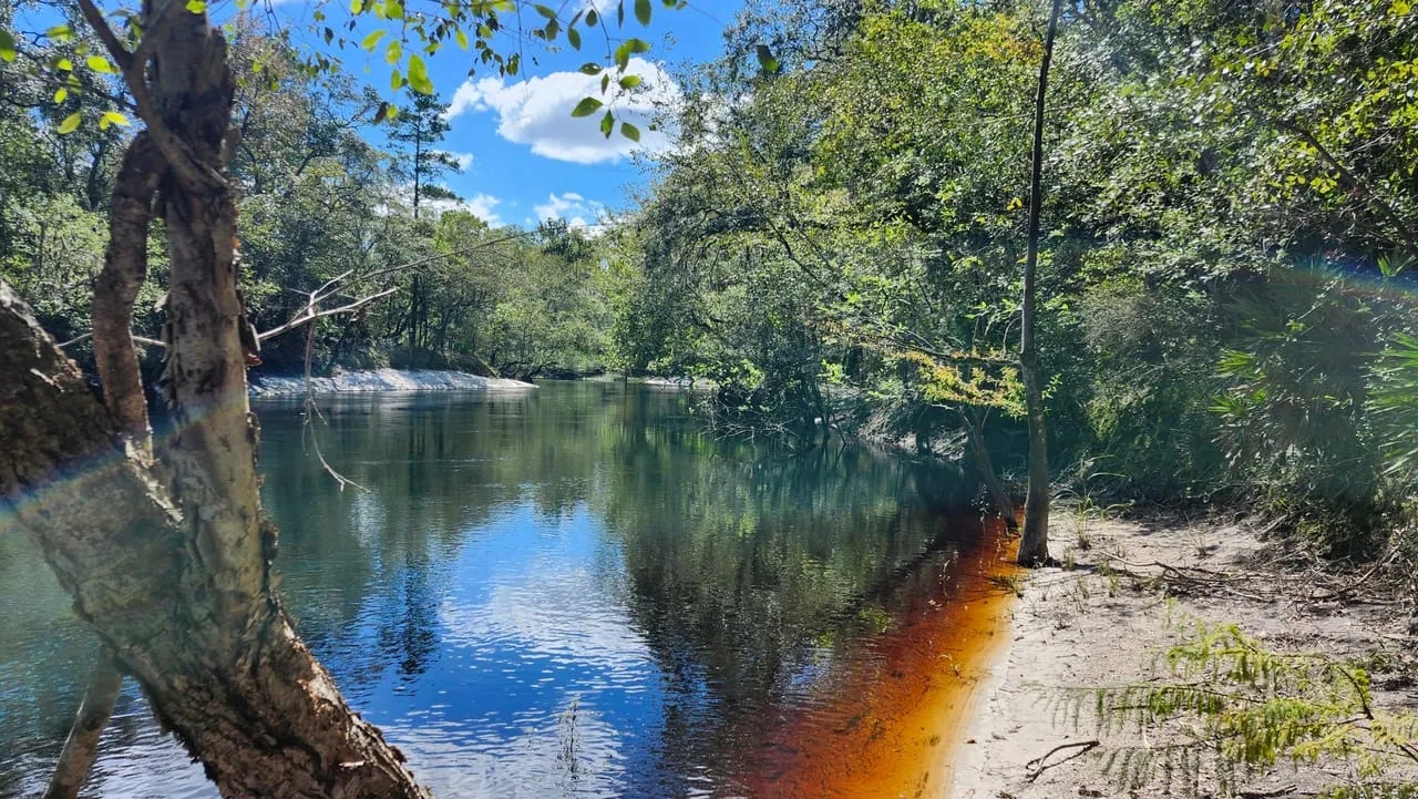 31 Acres on St. Marys River Hunting Land for Sale HuntingLocator