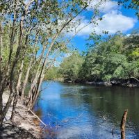 31 Acres on St. Marys River images 5