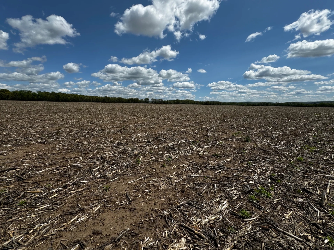 126 acre Tillable farm located just outside the City of Baraboo