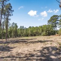Hunting Land in Amite County Connecting to Caston Creek WMA images 3