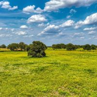 11500 Bowden Road Lipan Texas 76462 images 2
