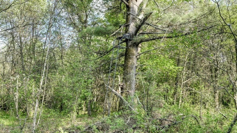Exceptional Recreational Property in Sparta WI featured image