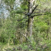 Exceptional Recreational Property in Sparta WI