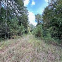 The Tower Road 20 Acres images 4