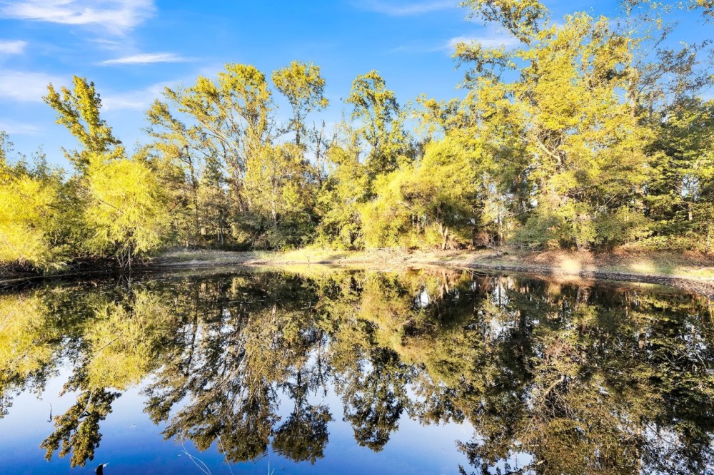 Texas Land for Sale East of Dallas near Ben Wheeler Canton featured image