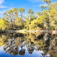 Texas Land for Sale East of Dallas near Ben Wheeler Canton