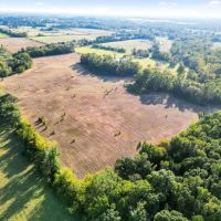 Texas Land for Sale East of Dallas near Ben Wheeler Canton images 4