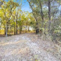 Texas Land for Sale East of Dallas near Ben Wheeler Canton images 5