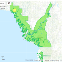 53,000 acres Lower Suwannee NWR Deer Hunting Land in Chiefland, FL