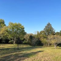 Fort West Hollow images 2