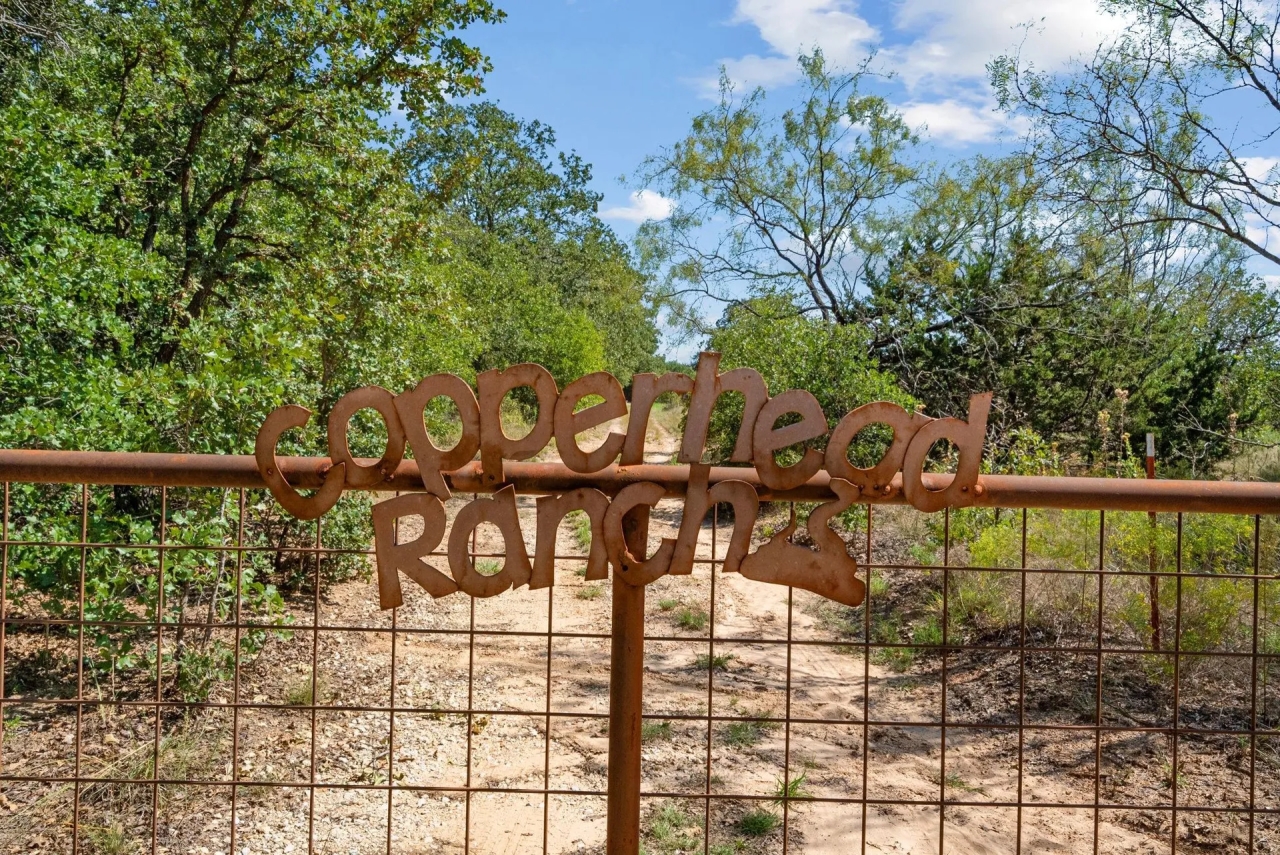 TBD County Road 445 Cross Plains Texas 76443 Hunting Land for Sale