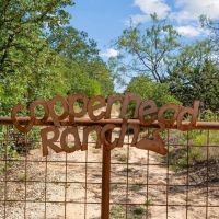 TBD County Road 445 Cross Plains Texas 76443 images 2