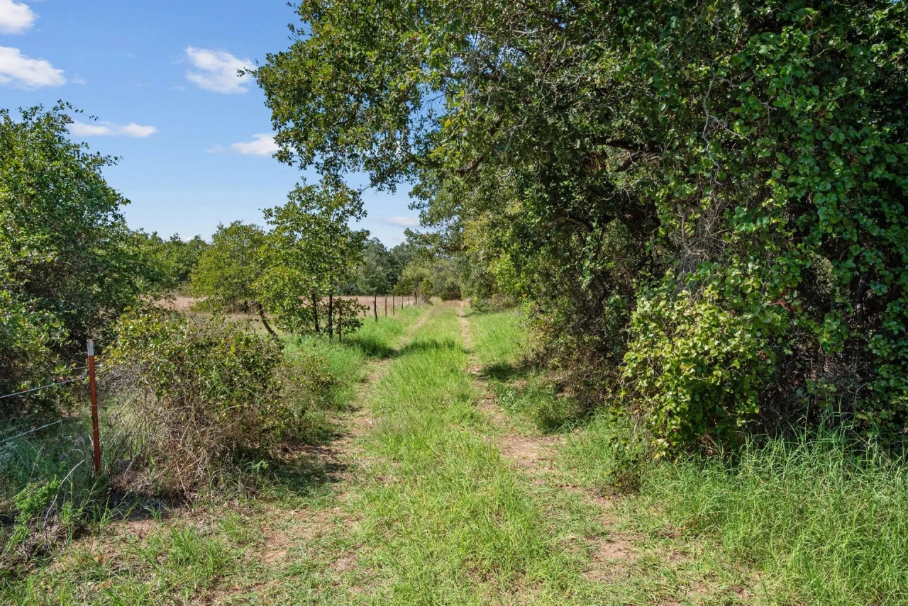 TBD County Road 445 Cross Plains Texas 76443 Hunting Land for Sale