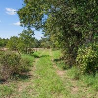 TBD County Road 445 Cross Plains Texas 76443 images 4