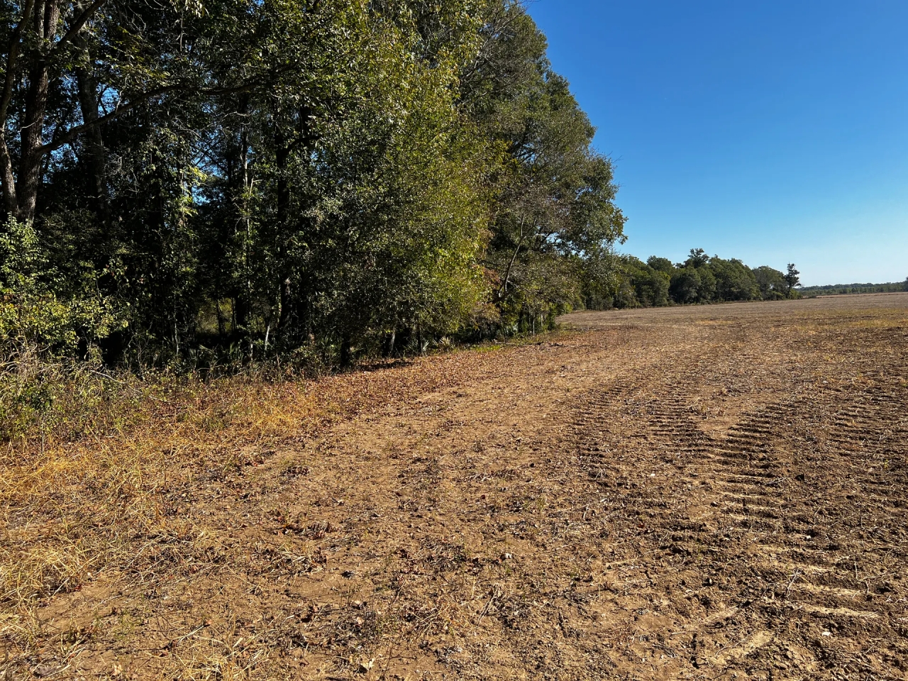 LA Tensas 30 acres Hunting Land for Sale