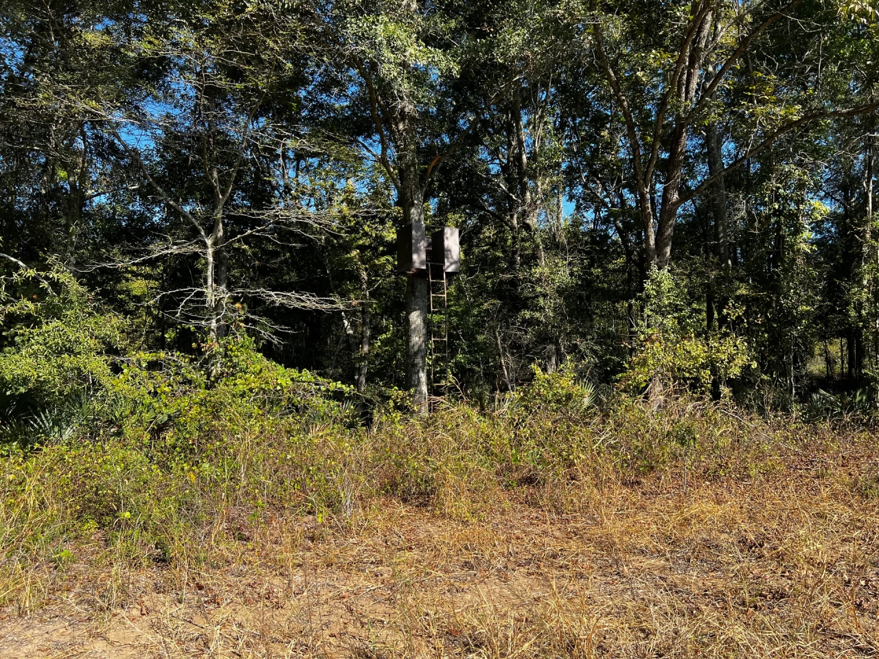 LA Tensas 30 acres Hunting Land for Sale