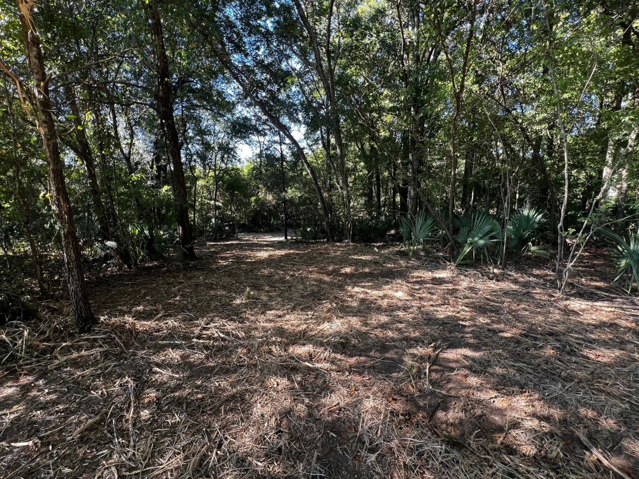 LA Tensas 30 acres Hunting Land for Sale