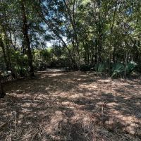 LA - Tensas 30 acres - images 4