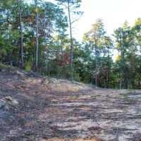 21.16 Acres in Rhea County TN images 2
