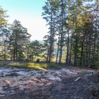 21.16 Acres in Rhea County TN images 3