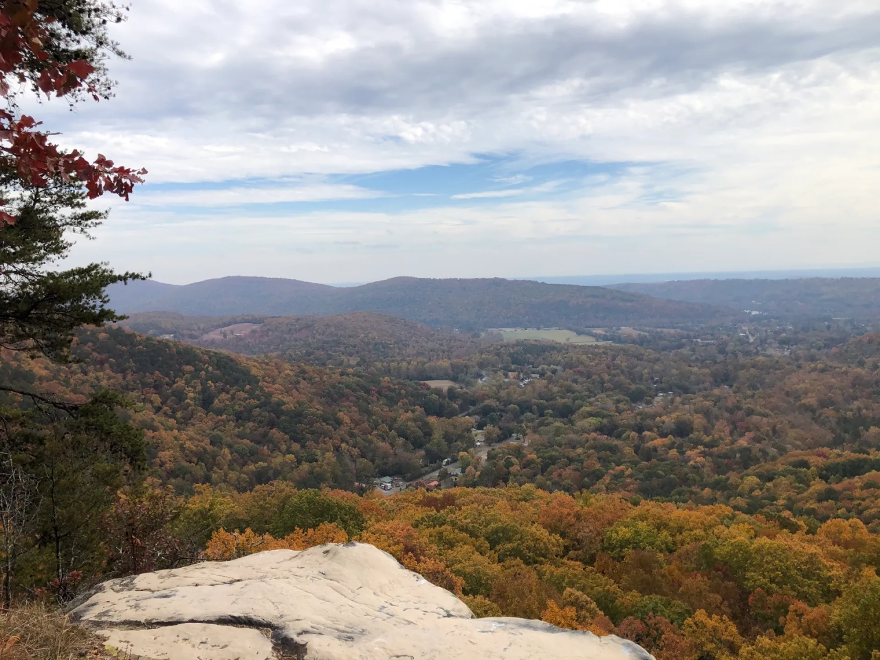 21.16 Acres in Rhea County TN Hunting Land for Sale HuntingLocator