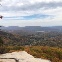 21.16 Acres in Rhea County TN images 5