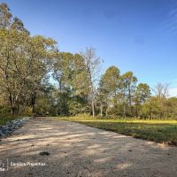 Land with Driveway Electric Well in West Rowan. Build Ready images 2