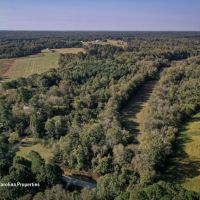 Land with Driveway Electric Well in West Rowan. Build Ready images 4
