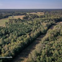 Land with Driveway Electric Well in West Rowan. Build Ready images 5