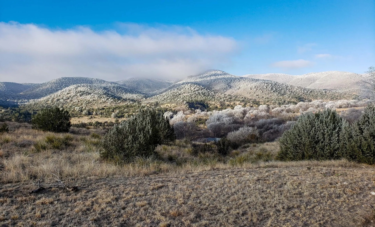 Alamo Canyon Hunting Ranch Hunting Land for Sale