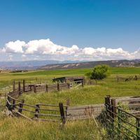 10996 County Road 331 Silt CO 81652 images 2