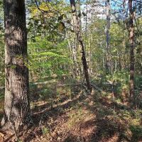 Secluded 5 Acres