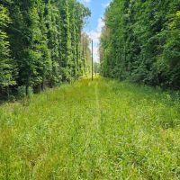 30 Acres in Oktibbeha County MS