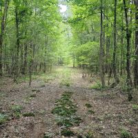 30 Acres in Oktibbeha County MS images 2