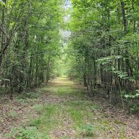 30 Acres in Oktibbeha County MS images 4